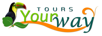 tours your way
